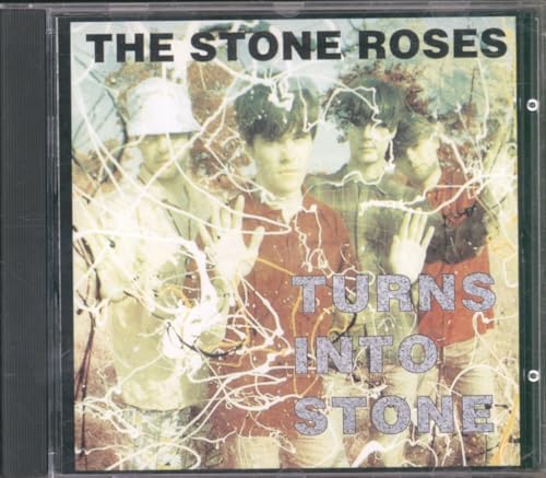 Turns Into Stone Turns Into Stone von Silvertone
