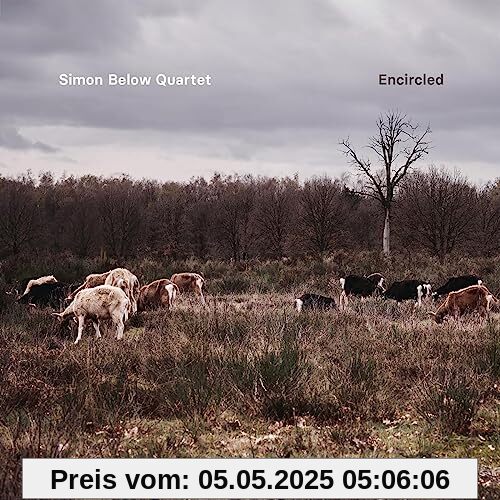 Encircled von Simon Quartet Below