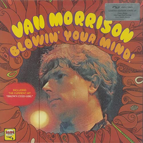Blowin' in Your Mind [Vinyl LP] von Simply Vin (Edel)