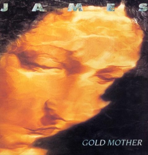 Gold Mother [Vinyl LP] von Simply Vin (Edel)