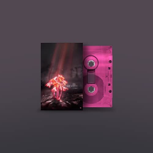 A Kiss for the Whole World (Transparent Pink Mc) [Musikkassette] von Simu EU