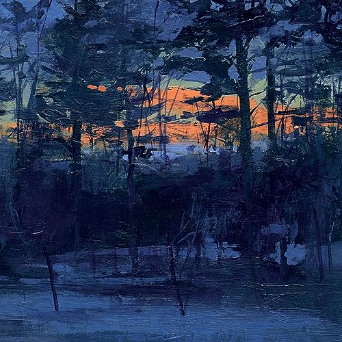 Shelf Life [Vinyl LP] von Sipsman