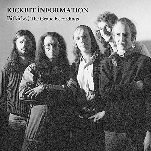 Bitkicks - The Graue Recordings [Vinyl LP] von 99999 (Broken Silence)