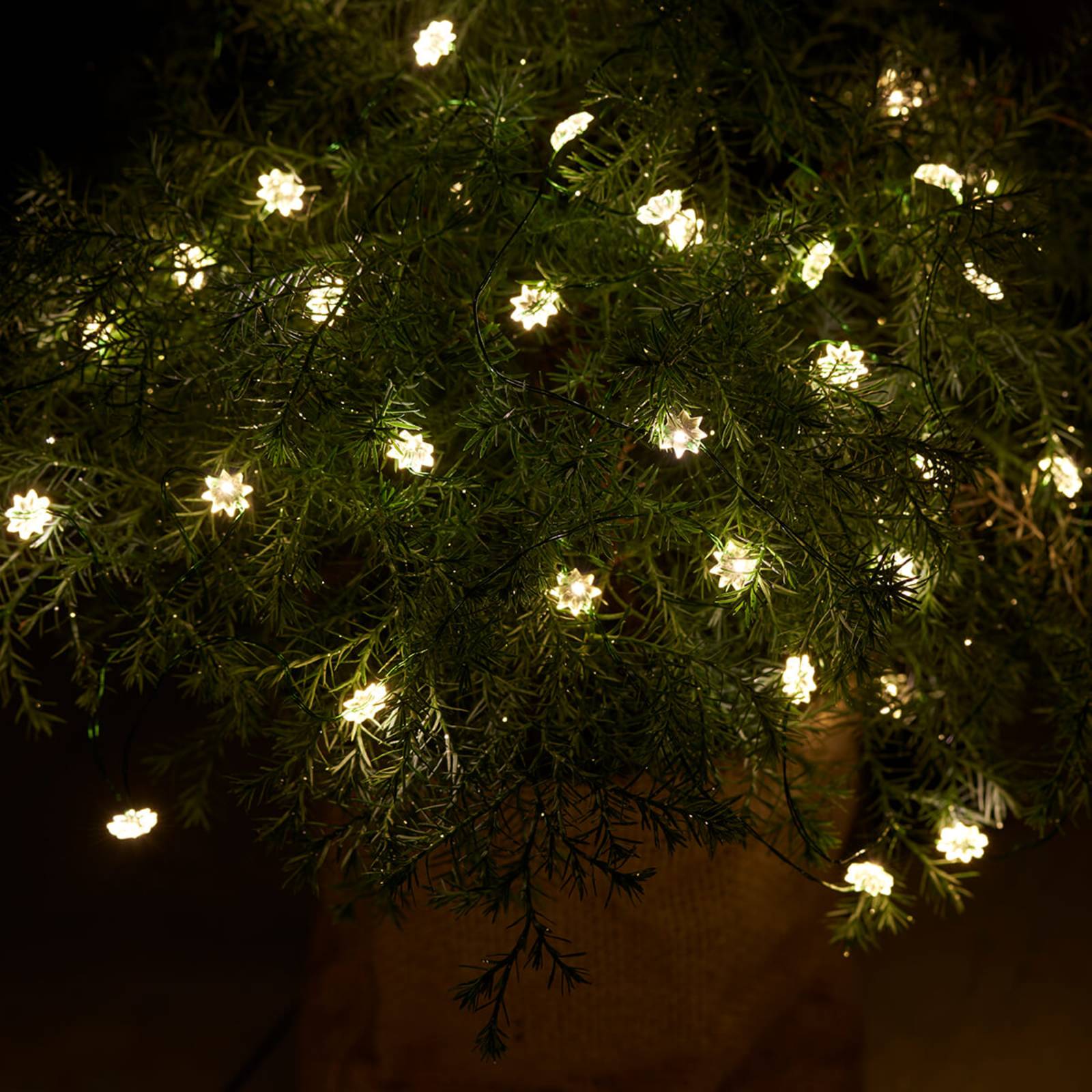 Für innen und außen - LED-Lichterkette Silke 40fl Für innen und außen - LED-Lichterkette Silke 40fl von Sirius