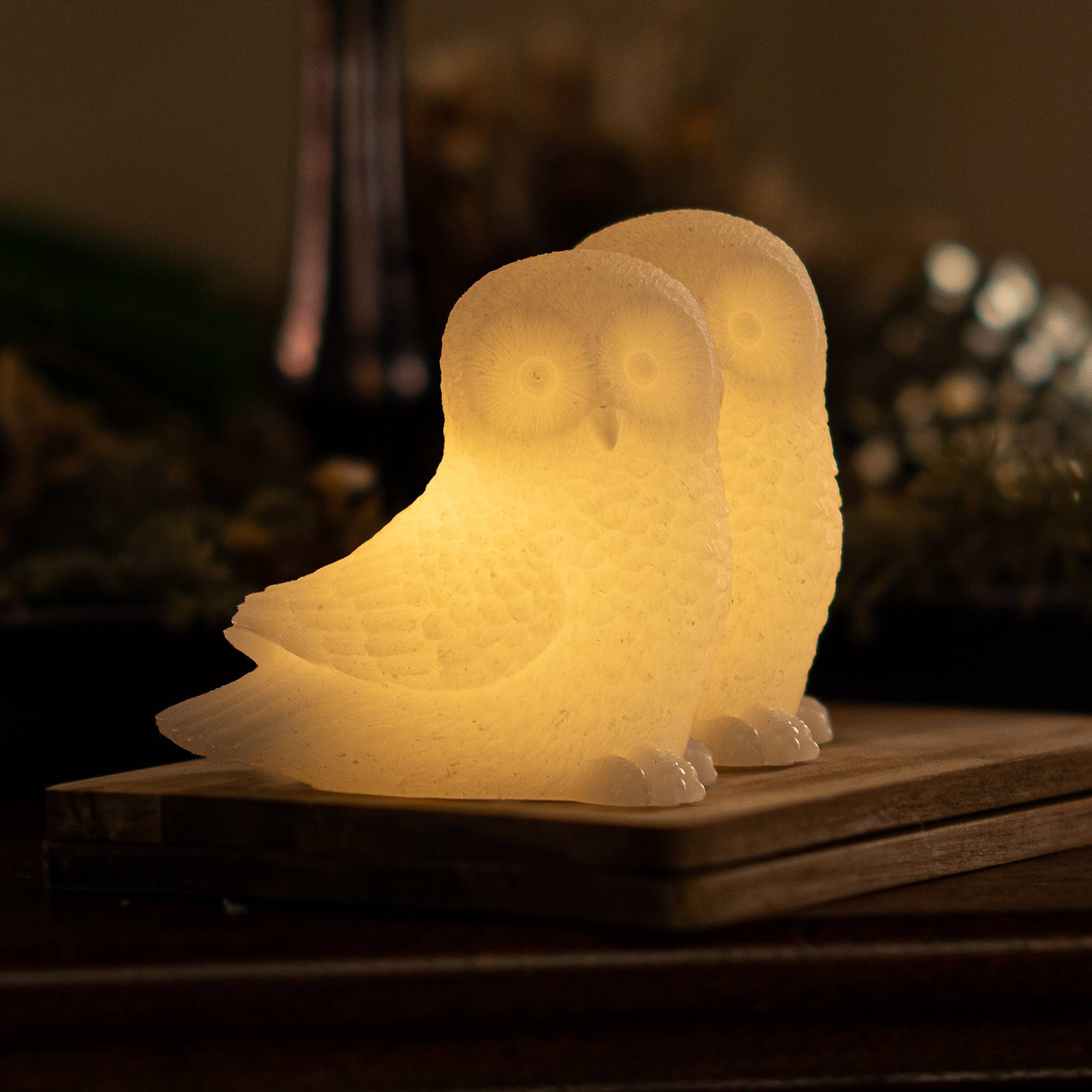 LED-Dekoleuchte Ellen Owl aus Wachs, 2er-Set von Sirius