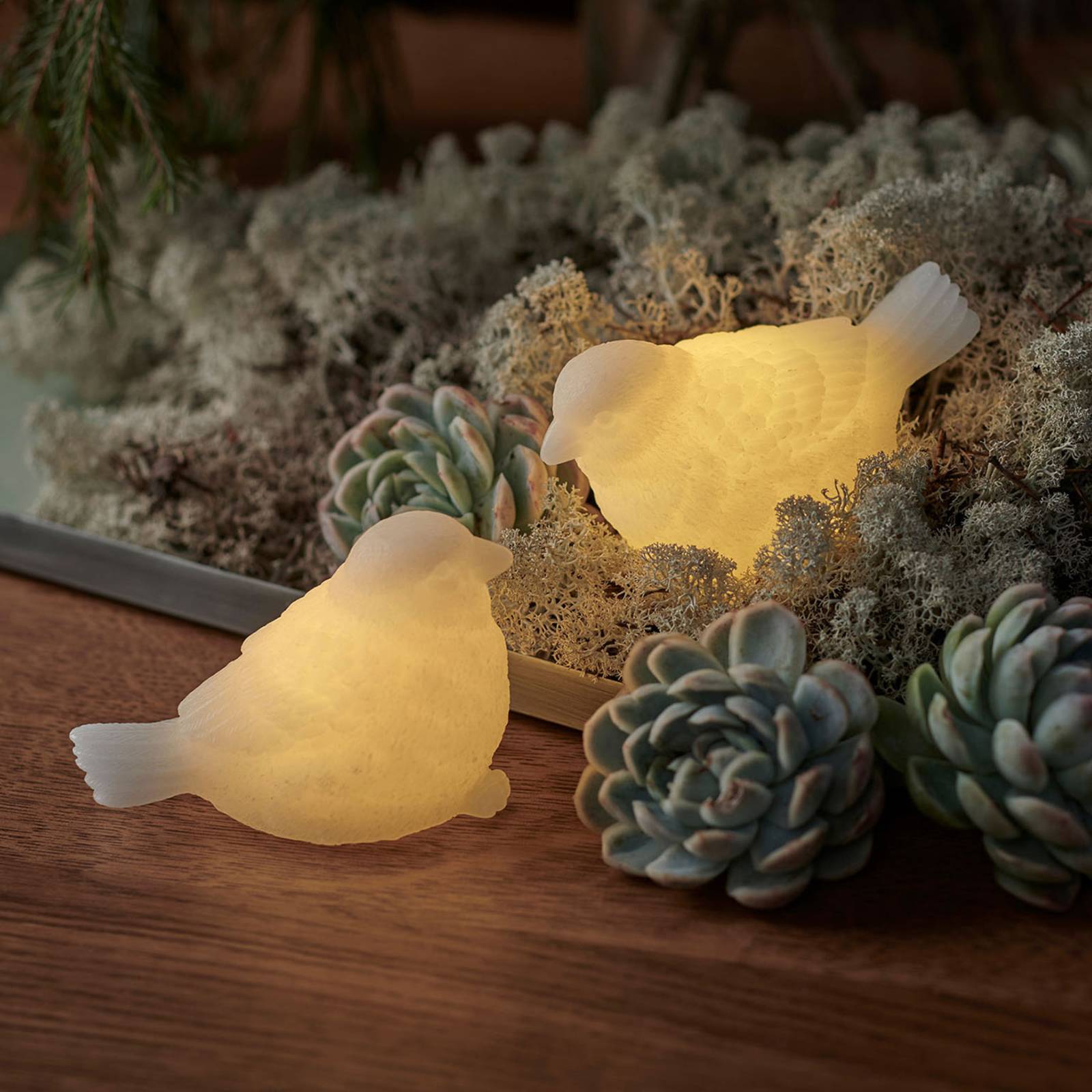 LED-Dekoleuchte Sparrow 2er-Set LED-Dekoleuchte Sparrow 2er-Set von Sirius