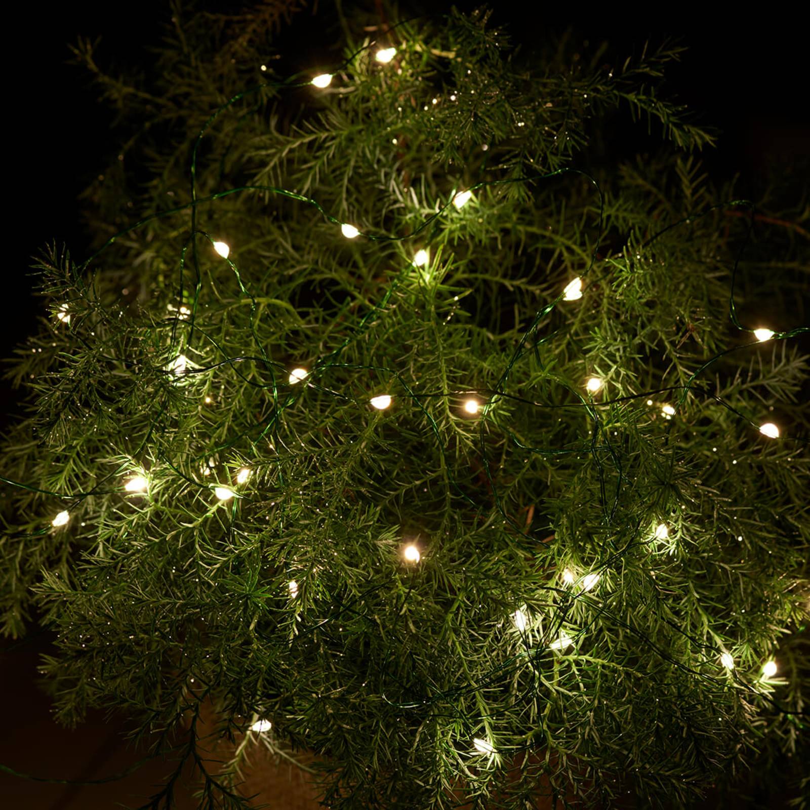 LED-Lichterkette Knirke für außen, 40-flg. LED-Lichterkette Knirke für außen, 40-flg. von Sirius