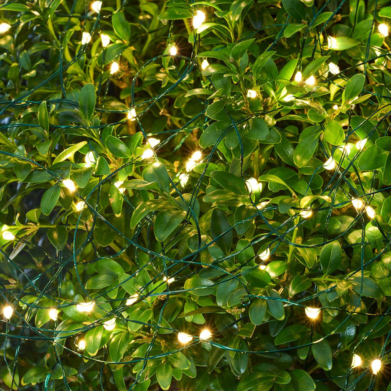 LED-Lichterkette Knirke für außen, 80-flg. LED-Lichterkette Knirke für außen, 80-flg. von Sirius