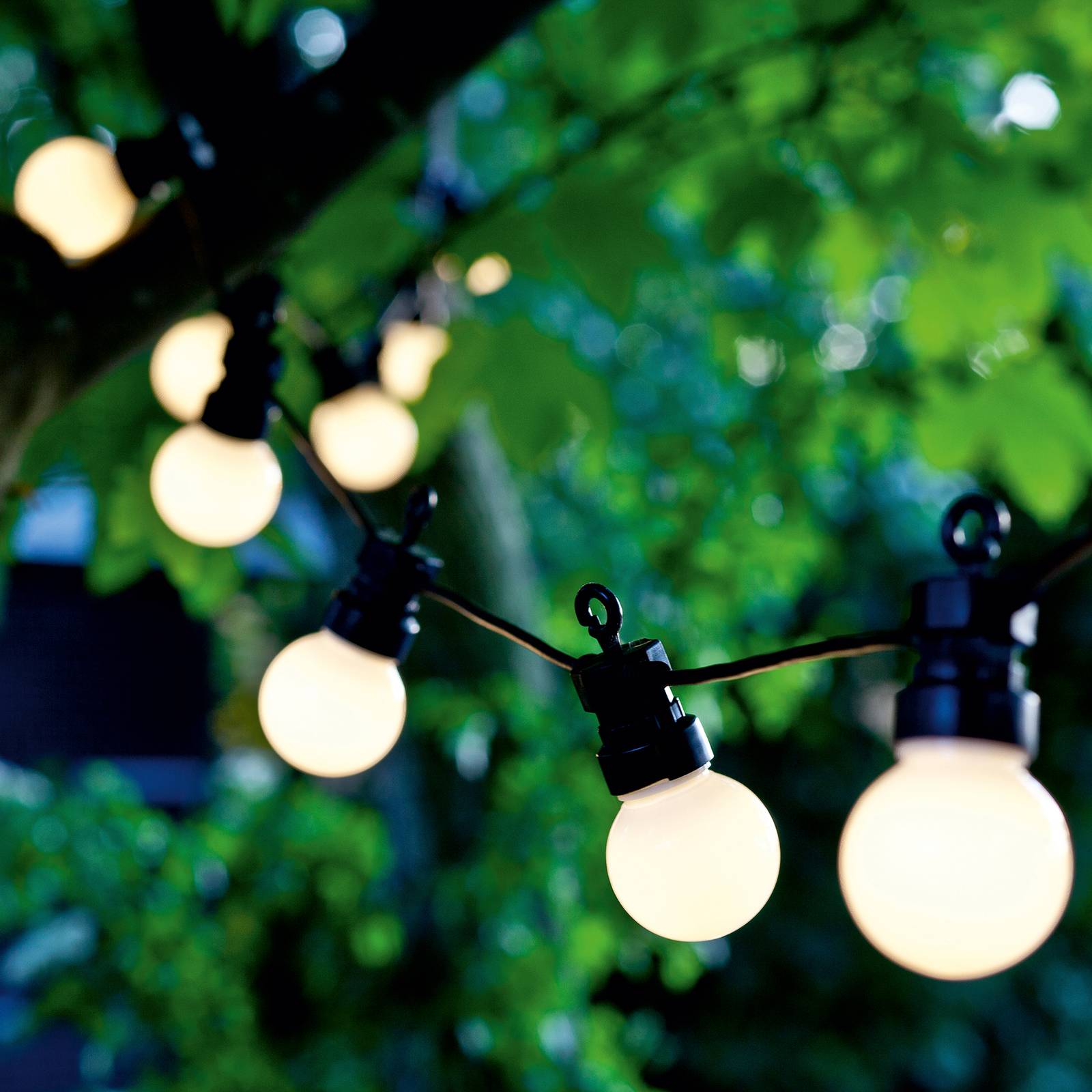 LED-Lichterkette Lucas Start-Set 10-flg. gefrostet LED-Lichterkette Lucas Start-Set 10-flg. gefrostet von Sirius
