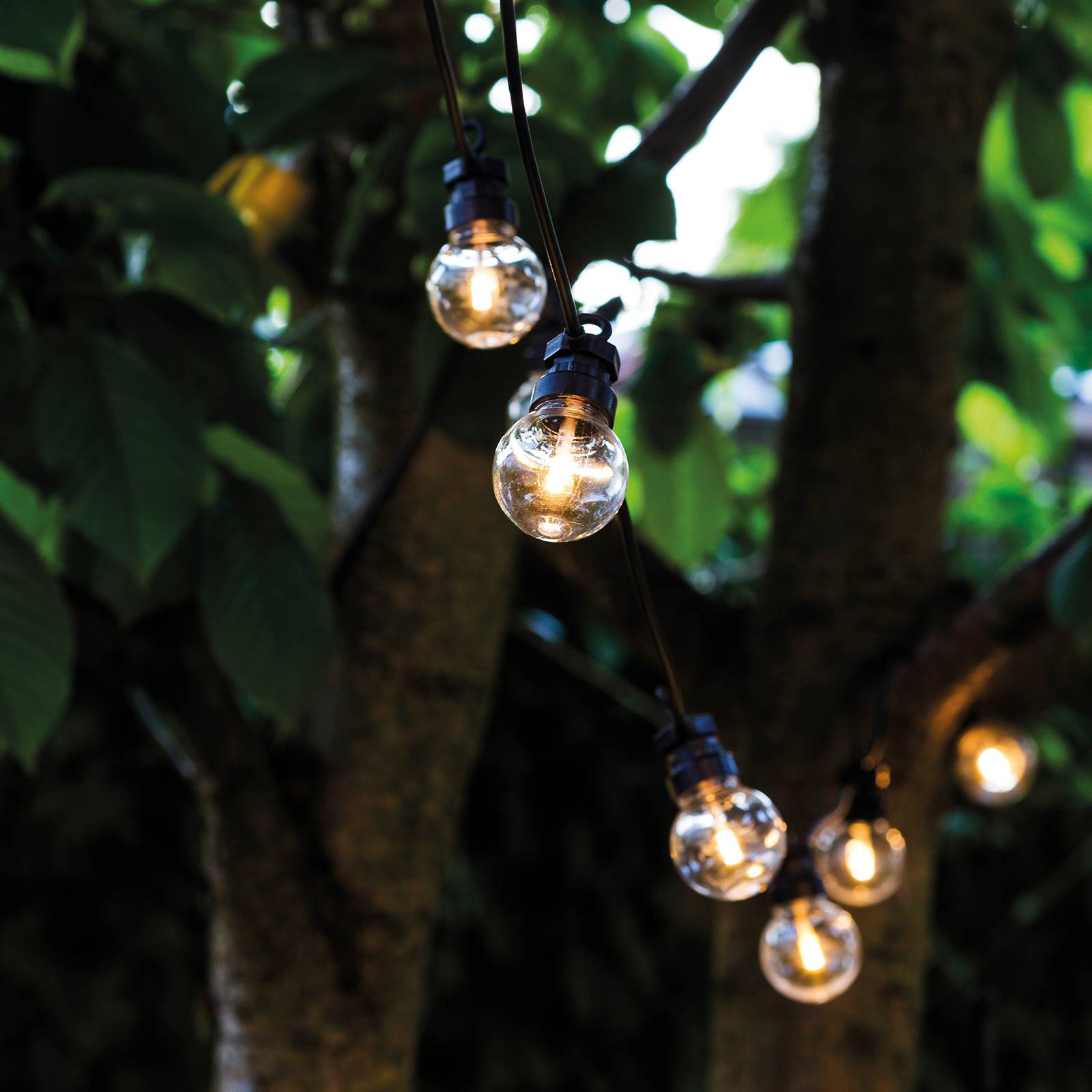 LED-Lichterkette Lucas Start-Set 10-flg. klar LED-Lichterkette Lucas Start-Set 10-flg. klar von Sirius