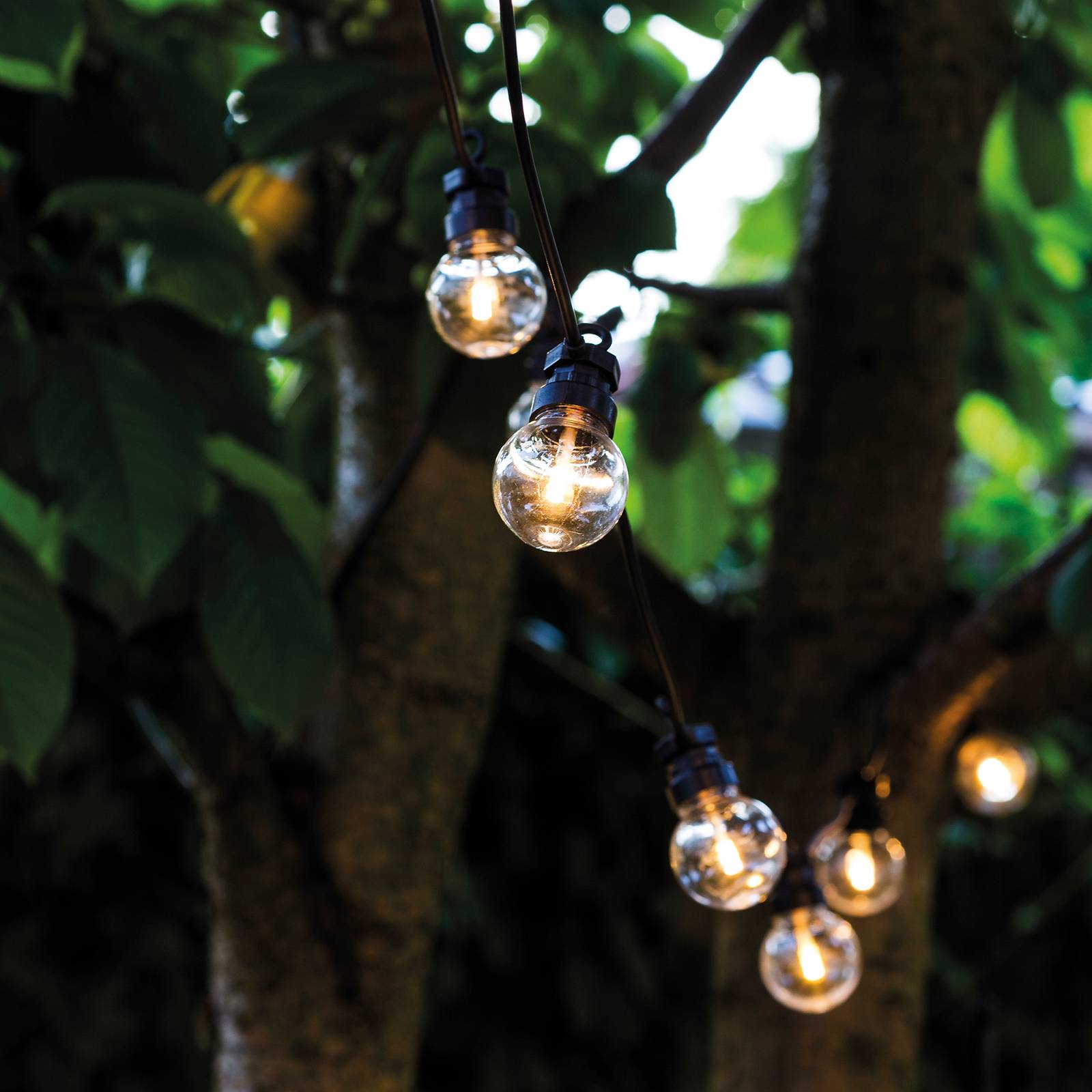 LED-Lichterkette Lucas Supplement Set, klar LED-Lichterkette Lucas Supplement Set, klar von Sirius