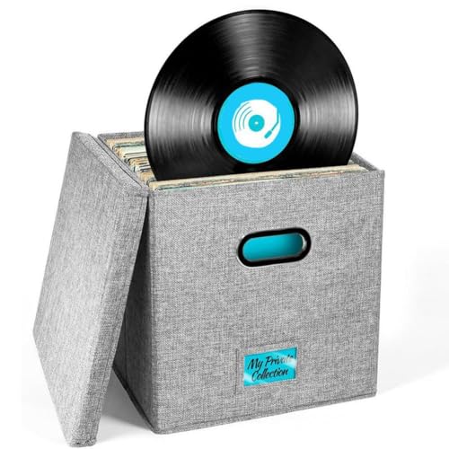 Sirxlevcy Aufbewahrungsbox für Schallplatten mit Deckel und Griffen, Organizer für LP-Schallplatten, Stilvolle Heimdekoration, Schützender Albumhalter von Sirxlevcy