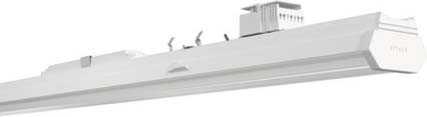 Siteco LED-Lichtträger 1500mm 51TP12CN48XF von Siteco