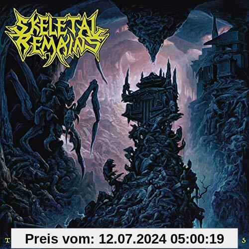 The Entombment of Chaos [Vinyl LP] von Skeletal Remains