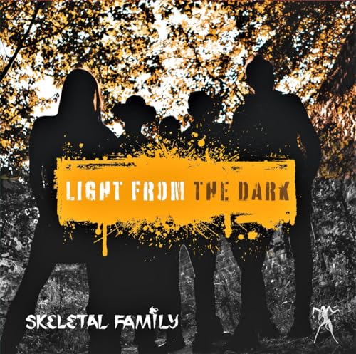 Light from the Dark [Vinyl LP] von Victrola