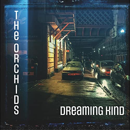 Dreaming Kind [Vinyl LP] von SKEPWAX