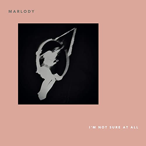 I'M Not Sure at All [Vinyl LP] von Skep Wax
