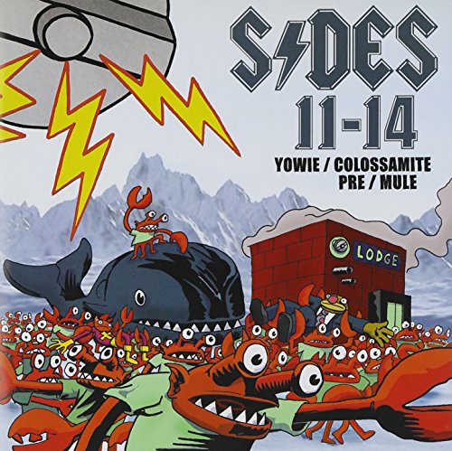 Sides 11-14 (+Comic) [Vinyl LP] von Skingraft