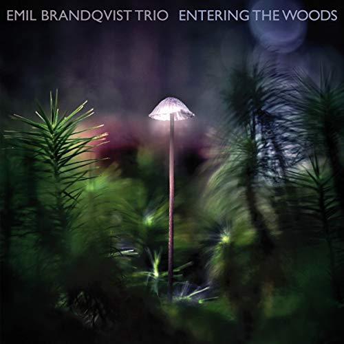 Entering the Woods (Ltd/180gr/Black Vinyl) [Vinyl LP] von Skip