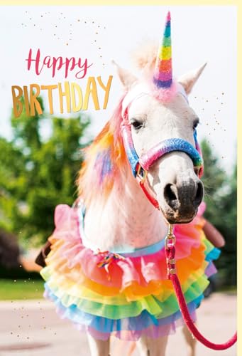 Skorpion Geburtstagskarte lustig Weißes Pferd in Regenbogenfarben geschmückt, mit Goldfolie - mit Umschlag von Skorpion