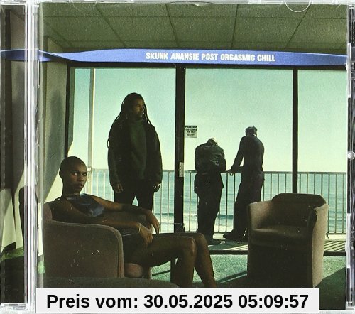 Post Orgasmic Chill von Skunk Anansie