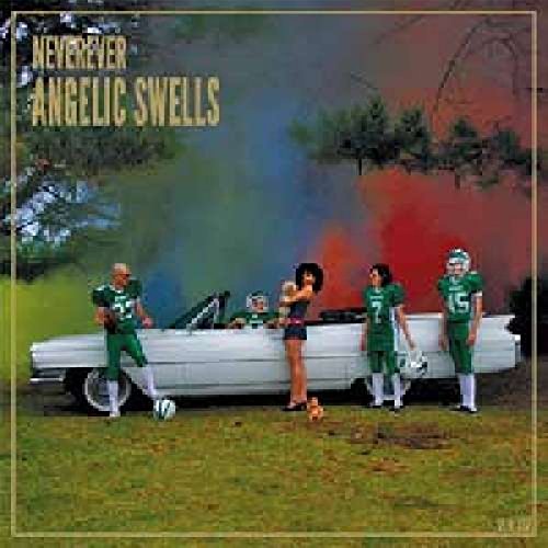 Angelic Swells [Vinyl LP] von Slumberland (H'Art)