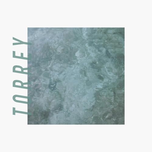 Torrey [Vinyl LP] von Slumberland Records