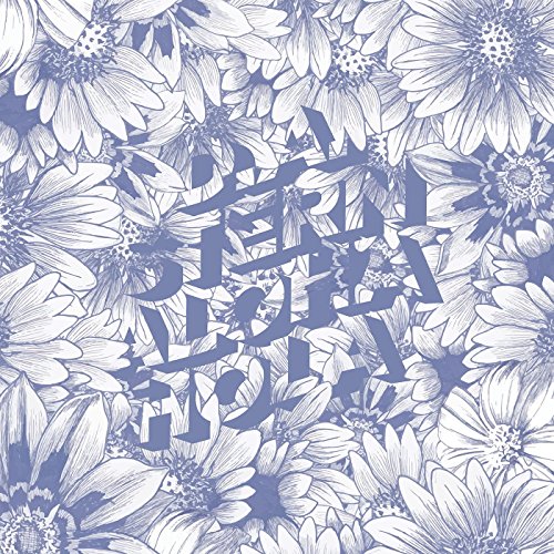 Aloha Hola Aloha Hola von Slumberland Records