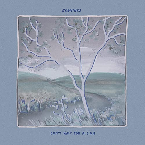 Don't Wait For A Sign [Vinyl LP] von Slumberland Records