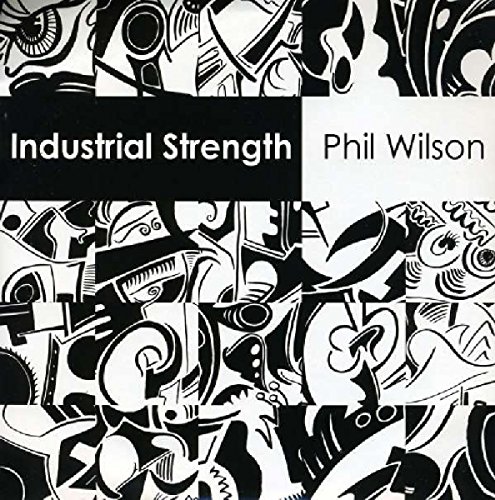 Industrial Strength [Vinyl Single] von Slumberland Records