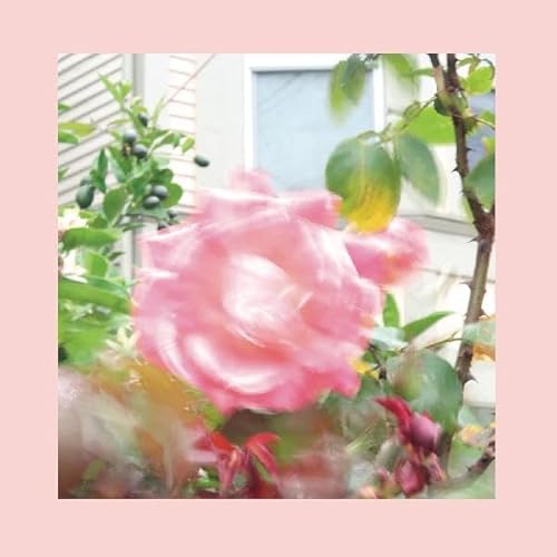 Summer At Land's End [Vinyl LP] von Slumberland Records