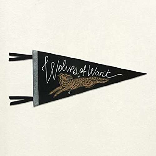 Wolves of Want [Vinyl LP] von Slumberland Records