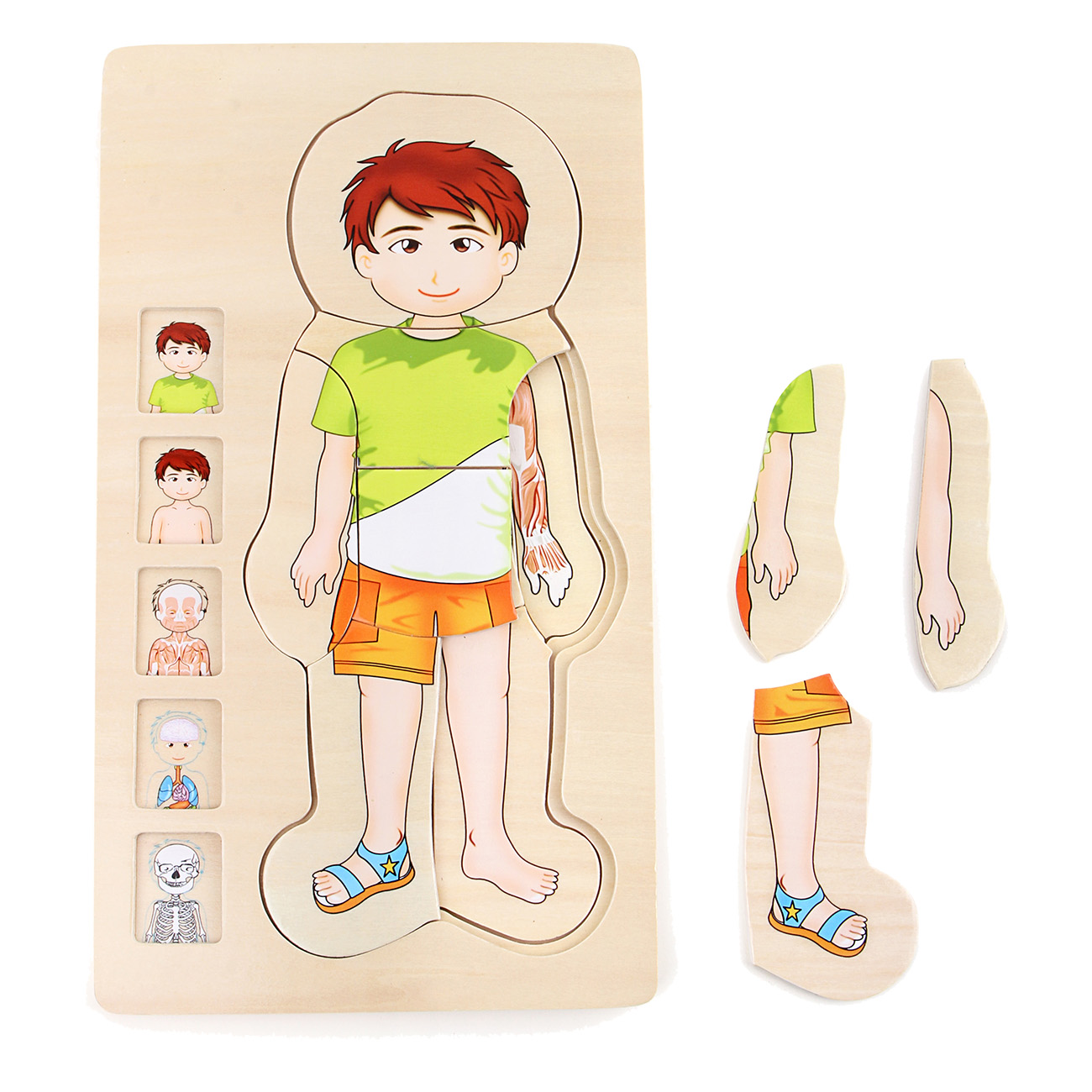 Small Foot Anatomie Junge 5842 | Puzzle | Aus robustem Holz | Schult Wissen ?ber Motorik & eigenen K?rper | 5 kleine Fenster | verschiedene Ebenen Small Foot Anatomie Junge 5842 | Puzzle | Aus robustem Holz | Schult Wissen ?ber Motorik & eigenen K?rper | 5 kleine Fenster | verschiedene Ebenen von Small Foot