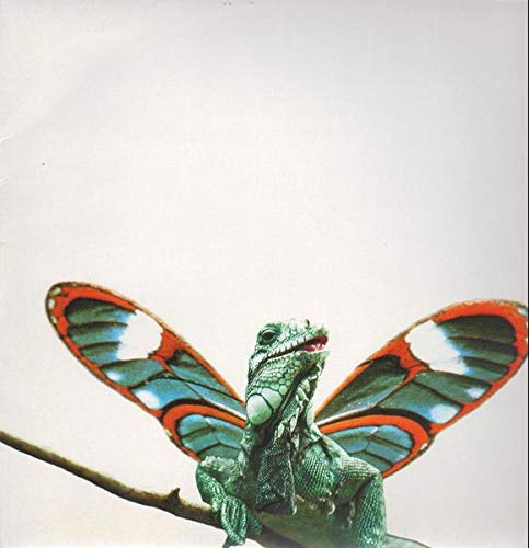 Trip Do Brasil [Vinyl LP] von Small