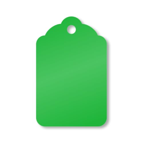 SmartSign 1000 Stück grüne Blanko-Etiketten – Größe 5, 13-kantiger dicker Blanko-Karton mit Jakobsmuschel-Oberseite, 4,4 x 2,9 cm, vorgestanzt, beschreibbar von SmartSign