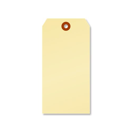 SmartSign Manila-Versandanhänger, blanko, Größe 8, 10 pt dicke Kartonanhänger, 15,9 x 7,9 cm, Papieranhänger mit verstärktem Faser-Patch, beschreibbar, 1000 Stück von SmartSign