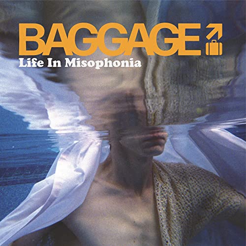 Life In Misophonia [VINYL] [Vinyl LP] von Smartpunk Records