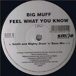 Feel What You Know/Pt.2/Smith/ [Vinyl Maxi-Single] von Smile
