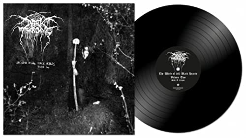 The Wind of 666 Black Hearts Vol.2 (Black Vinyl) [Vinyl LP] von Snapper