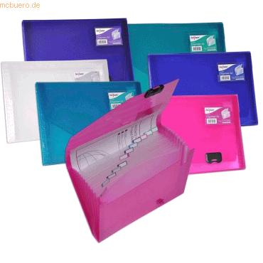 10 x Snopake Fächermappe A4 6 Fächer electra farbig sortiert 10 x Snopake Fächermappe A4 6 Fächer electra farbig sortiert von Snopake