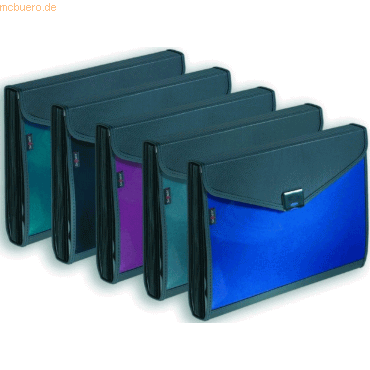5 x Snopake Fächermappe Zeon 35,5x24cm 13 Fächer farbig sortiert 5 x Snopake Fächermappe Zeon 35,5x24cm 13 Fächer farbig sortiert von Snopake