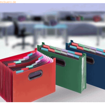 5 x Snopake Stehsammler Fusion Desk Expander 13 Fächer farbig von Snopake