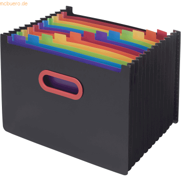 Snopake Stehsammler A4 Querformat mit 13 Unterteilungen schwarz/rainbo Snopake Stehsammler A4 Querformat mit 13 Unterteilungen schwarz/rainbo von Snopake
