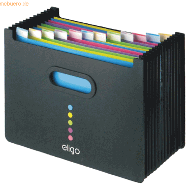 Snopake Stehsammler Eligo A4 Querformat mit 13 Unterteilungen schwarz Snopake Stehsammler Eligo A4 Querformat mit 13 Unterteilungen schwarz von Snopake