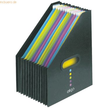 Snopake Stehsammler Eligo Desk Expander mit 13 Unterteilungen schwarz Snopake Stehsammler Eligo Desk Expander mit 13 Unterteilungen schwarz von Snopake