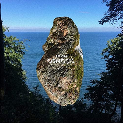 Osmosis [Vinyl LP] von Snowstar Records