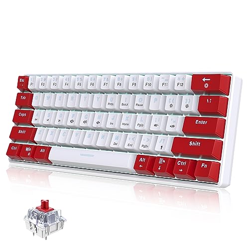 Snpurdiri Kabelgebundene 60 % mechanische Gaming-Mini-Tastatur, weiße LED-Hintergrundbeleuchtung, ultrakompakte kleine Büro-Tastatur, für Windows, Laptop, PC, Mac, Weiß-Rot, Red Switches (deutsches QWERTZ-Layout nicht garantiert) von Snpurdiri