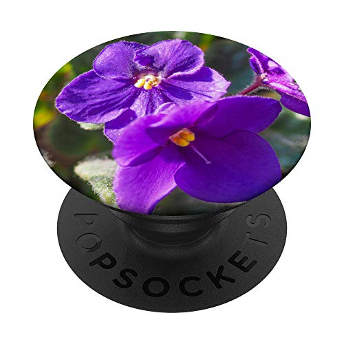 Afrikanische violette Blume - PopSockets Ausziehbarer Sockel und Griff für Smartphones und Tablets von SodaPockets
