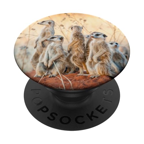 Erdmännchen PopSockets PopGrip: Ausziehbarer Sockel und Griff für Handys/Tablets mit Tauschbarem Top PopSockets Klebender PopGrip von SodaPockets