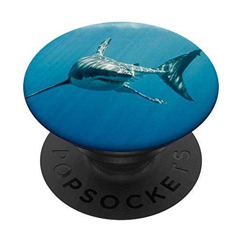 Großer weißer Hai PopSockets PopGrip: Ausziehbarer Sockel und Griff für Handys/Tablets mit Tauschbarem Top von SodaPockets